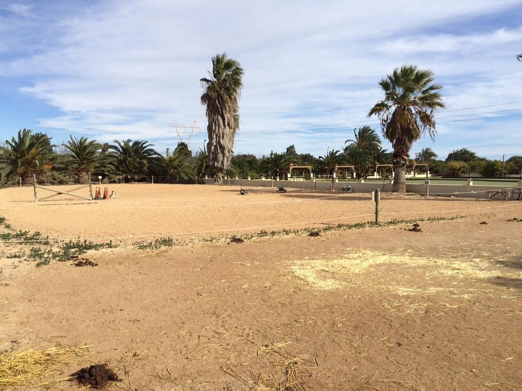 Hotel El Rancho - Torrevieja 2*