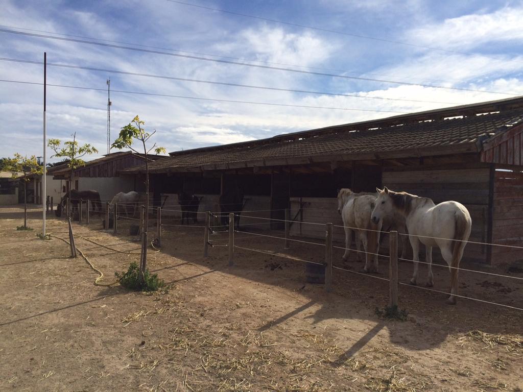 El Rancho - Torrevieja Los Montesinos