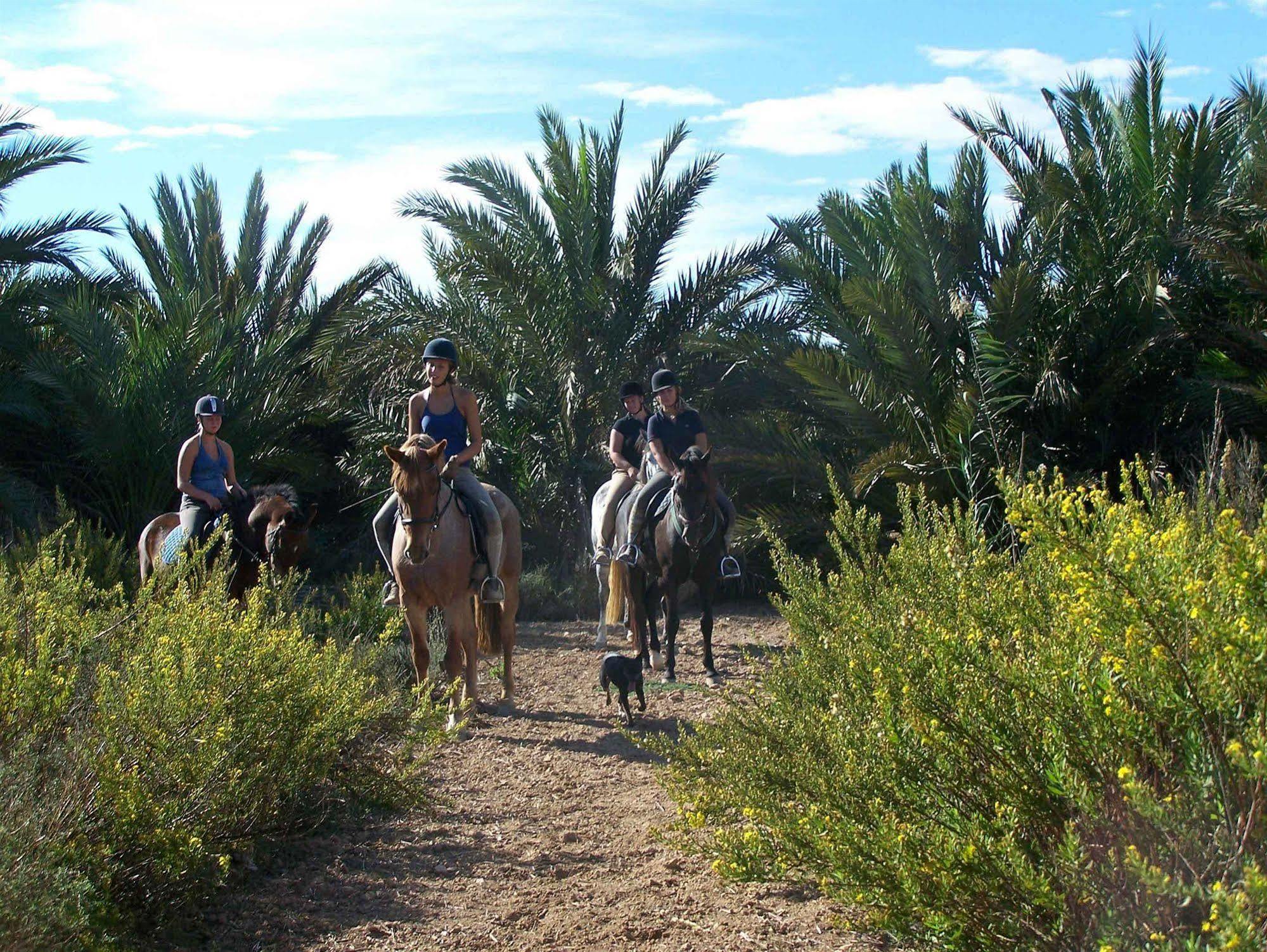 El Rancho - Torrevieja Los Montesinos