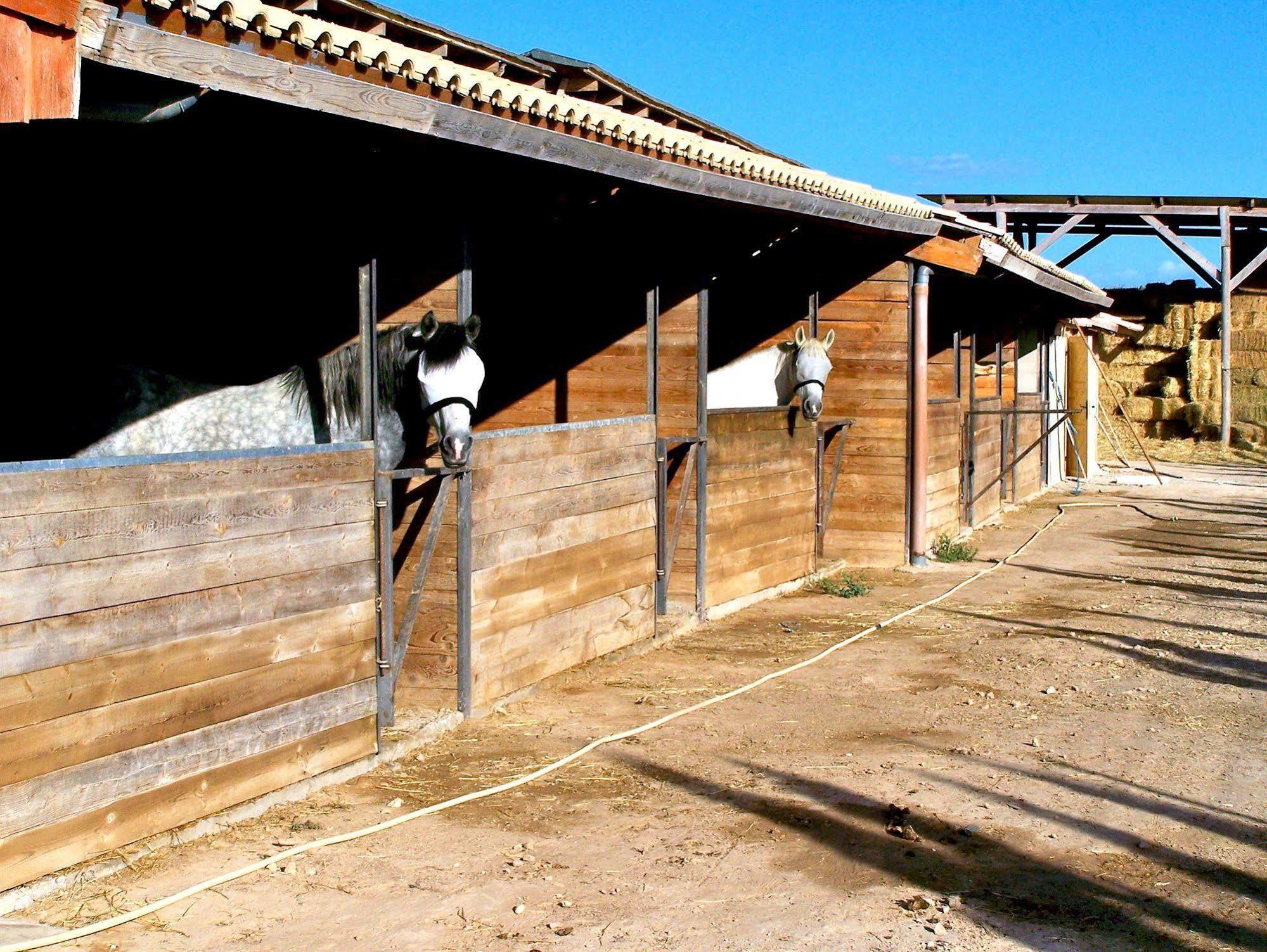 Hotel El Rancho - Torrevieja Los Montesinos