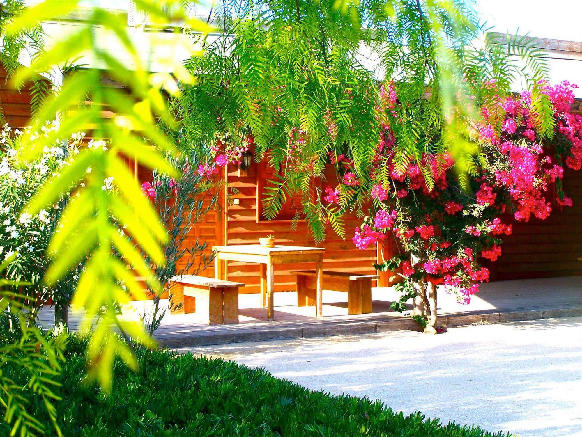 El Rancho Montesinos - Torrevieja